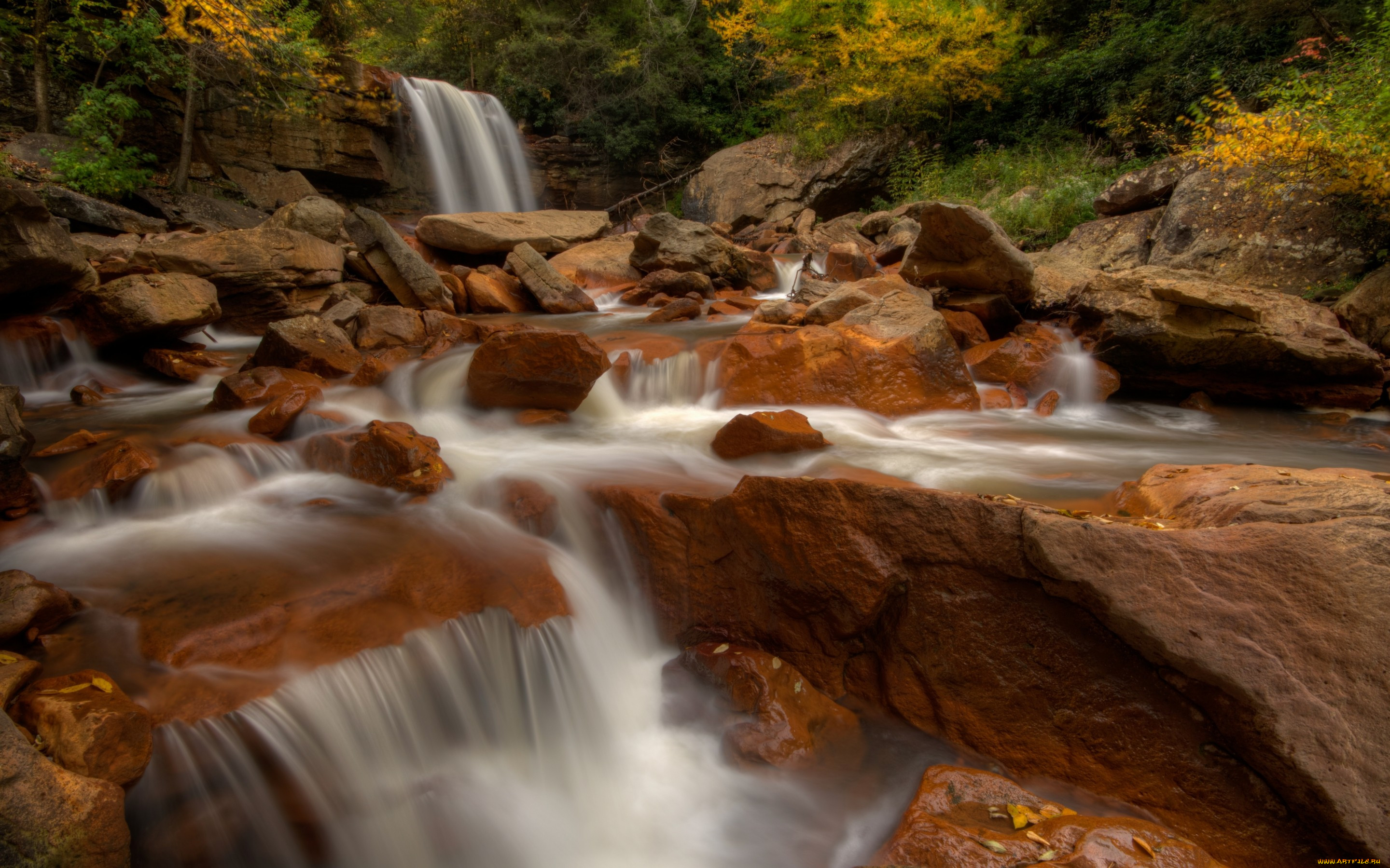 , , west, virginia, , , , , , blackwater, river, douglas, falls, , , 
